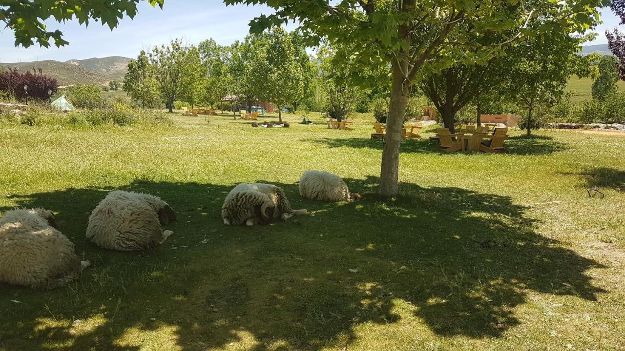 Ferme D'Hote La Vallee Azrou Eksteriør billede